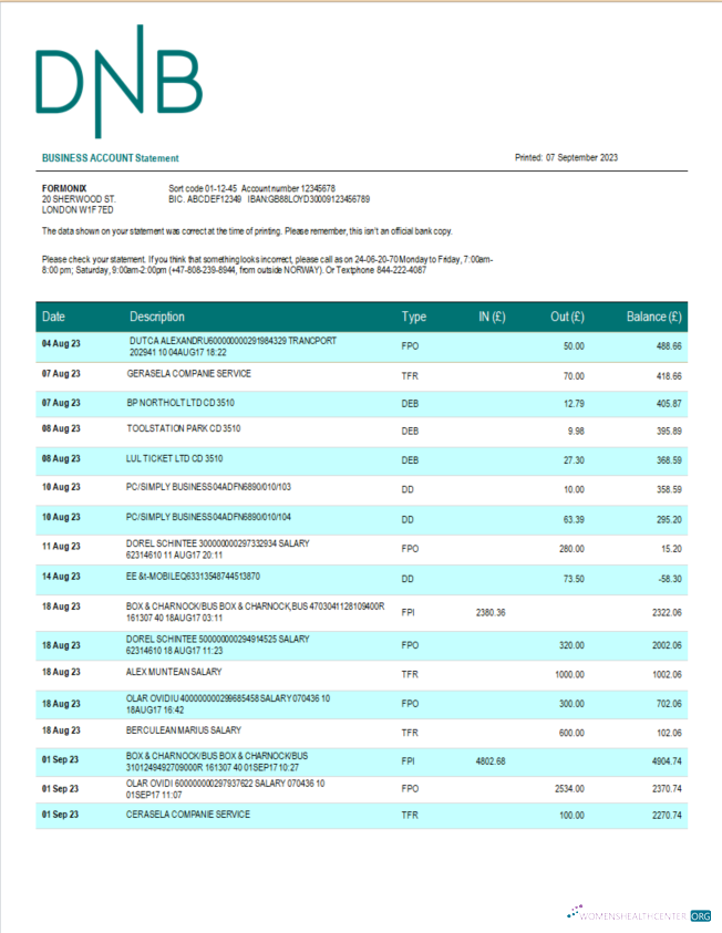 Download DNB Bank firm account statement Word and PDF template Photoshop template
